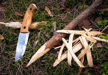 Lame din țara trolilor