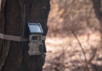 De acum încolo, gata cu bateriile - aceasta este NOUA SPYPOINT LINK-MICRO S LTE