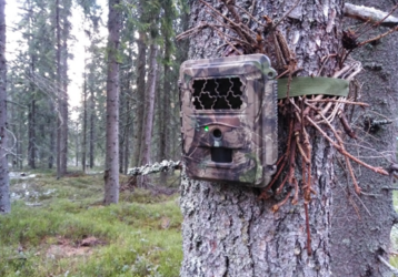 Cooperare între NLC și ODIMON RO s.r.o. în cadrul proiectului TETRAO - monitorizarea de iarnă a habitatelor din arealul cocoșului de munte