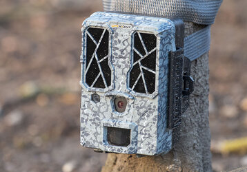 Când pădurea devine un fotoatelier