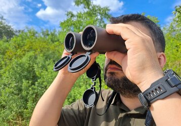 TETRAO ELANUS - Și nu vei rata nici un șoarece!