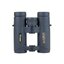 Binoclu Vixen NEW FORESTA 10x32 DCF