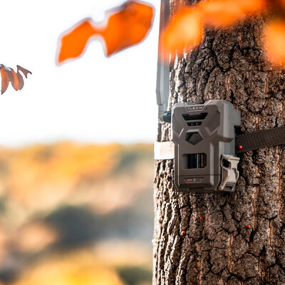 Fotopasca spypoint flex-m 28 mpx + dvojbalenie za zvýhodnenú cenu + 4 sim karty zadarmo - fotopasca_spypoint_flex_28_mpx_2_sim_karty_zadarmo_11