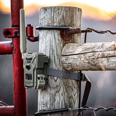 Fotopasca spypoint flex-m 28 mpx + dvojbalenie za zvýhodnenú cenu + 4 sim karty zadarmo - fotopasca_spypoint_flex_28_mpx_2_sim_karty_zadarmo_5