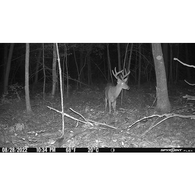 Fotopasca spypoint flex-s 36 mpx + 2 sim karty zdarma - DAvid-T