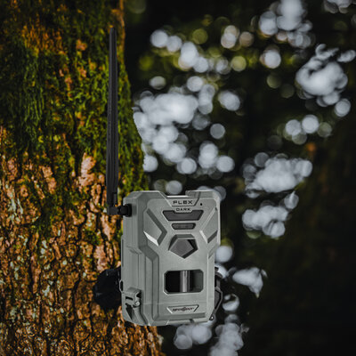 Fotopasca spypoint flex dark 40 mpx, sim karta zdarma - fotopasca_spypoint_flex_dark_40_mpx_sim_karta_zdarma_12