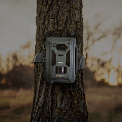 Fotopasca spypoint force-24 24 mpx - fotopasca_spypoint_force_24_3
