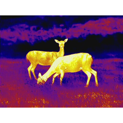 Termovízna predsádka leica calonox sight 2v1 - detekcia na 2000 m - Calonox 7
