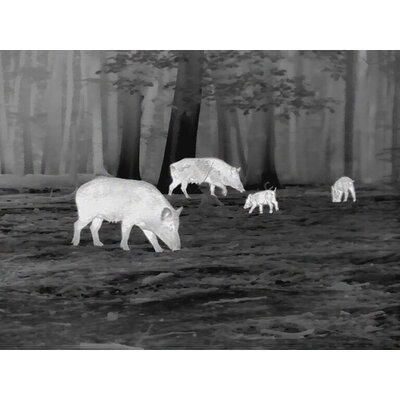Termovízna predsádka leica calonox sight 2v1 - detekcia na 2000 m - Calonox 9