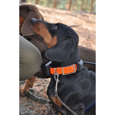 Obojok pre ďalšieho psa dog gps x30b - vyhledavaci-zarizeni-dog-gps-x30t__mi001-1280