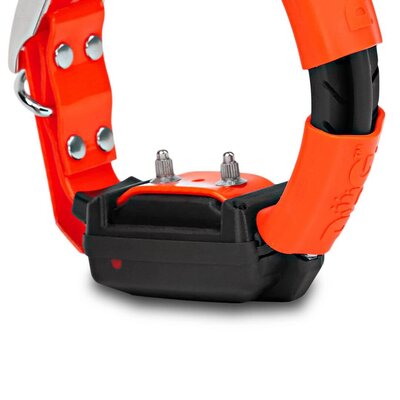 Obojok pre ďalšieho psa dog gps x30t - obojok-pre-dalsieho-psa-dog-gps-x30t__mi001-2302