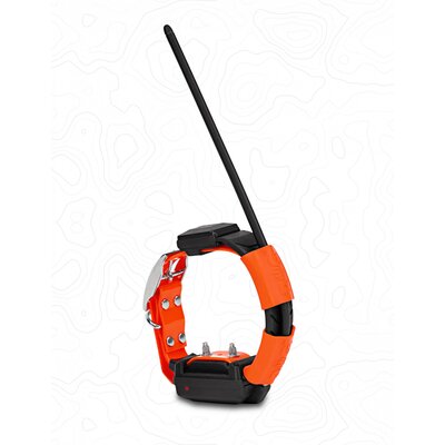 Obojok pre ďalšieho psa dog gps x30t - prd-235-5__19
