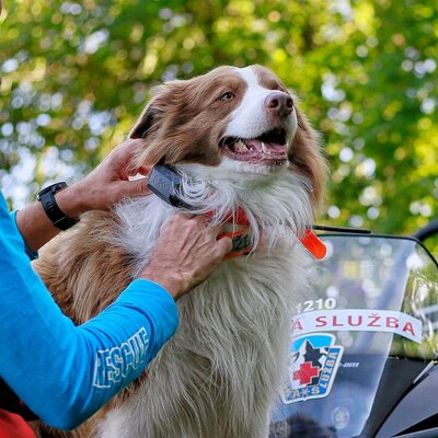 Satelitný gps lokátor dogtrace dog gps x30 - bez výcvikového modulu - vyhladavacie-zariadenie-dog-gps-x30__mi001-2335