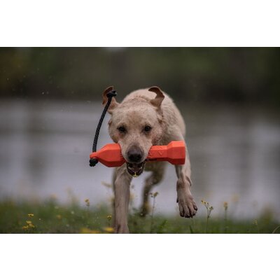 Výcvikový gumový bumper pre psy – oranžový - vycvikovy_gumovy_bumper_pre_psy_oranzovy_3