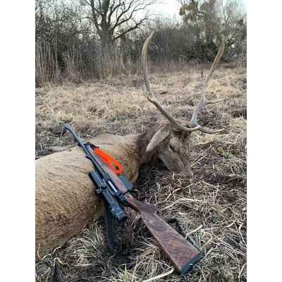 Neoprénový remeň sauenhammer sh2 oranžový - remen_na_zbran_sauenhammer_oranzovy_3