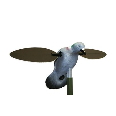 20152906190643-510341_HW2410_pigeon