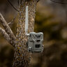 Fotopasca spypoint flex-m 28 mpx + 2 sim karty zdarma - fotopasca_spypoint_flex_28_mpx_2_sim_karty_zadarmo_10