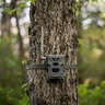 Fotopasca spypoint flex-m 28 mpx + dvojbalenie za zvýhodnenú cenu + 4 sim karty zadarmo - fotopasca_spypoint_flex_28_mpx_2_sim_karty_zadarmo_6
