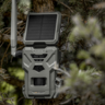 Fotopasca spypoint flex-s 36 mpx + 2 sim karty zdarma - large_64a6de3f171c5
