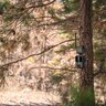 Spypoint cell-link premení neodosielaciu fotopascu na odosielaciu - 680602_18