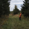 Signálna vesta deerhunter protector - signalna_vesta_na_spolocnu_polovacku (3)