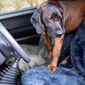 Ochranný poťah na autosedačku - ochranny_potah_na_autosedacku_3