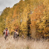 Pánska vesta fjällräven grimsey – dark olive - Panska_vesta_Fjallraven_Grimsey_–_Dark Olive (1)