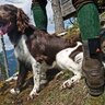 Vyhrievač obuvi alpenheat ah5 trend - alpenheat_vyhroevanie_obuvi_ah5 (1)