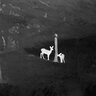 Termovízna predsádka leica calonox sight 2v1 - detekcia na 2000 m - Calonox 3