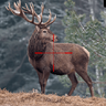 Nočné videnie atn x-sight ltv qhd 3-9x - nocne_videnie_atn_xsight_ltv (1)