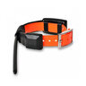 Obojok pre ďalšieho psa dog gps x25 - obojok_pre_dalsieho_psa_dog_gps_x25_1