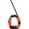 Obojok pre ďalšieho psa dog gps x30t - prd-235-5__19
