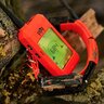 Prijímač - ručné zariadenia pre dog gps x25 - orange - prijimac_rucne_zariadenie_pre_dog_gps_x25_orange_3