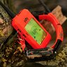 Satelitný gps lokátor dogtrace dog gps x30 - bez výcvikového modulu - vyhladavacie-zariadenie-dog-gps-x30__mi001-1967