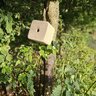 Minerálna soľná kocka tetrao 10 kg forest - 20250706_185621