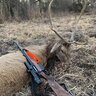 Neoprénový remeň sauenhammer sh2 oranžový - remen_na_zbran_sauenhammer_oranzovy_3