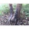 20182006110607-maxresdefault