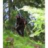 20182305150524-Observer_Image_2