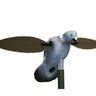 20152906190643-510341_HW2410_pigeon