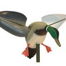 20152906180634-510316_WindDuck
