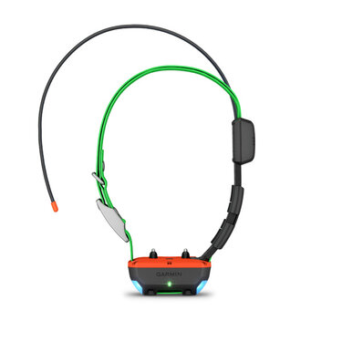 Zgardă GPS Garmin Alpha TT 25 Zgardă GPS Garmin Alpha TT 25