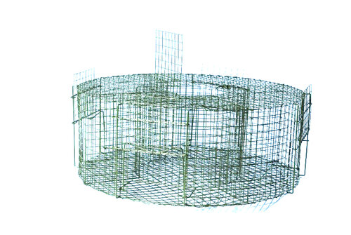 Capcană ovală pentru păsări răpitoare 