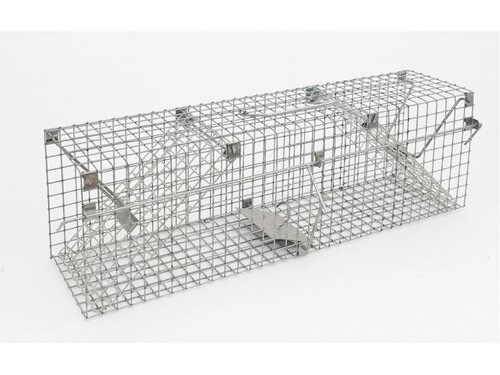 Capcană pentru șobolani și năvăstuci