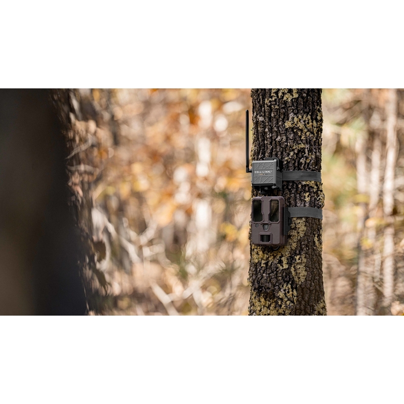 Spypoint CELL-LINK modul suplimentar pentru transformarea camerei de monitorizare fără trimitere în trimitere 3