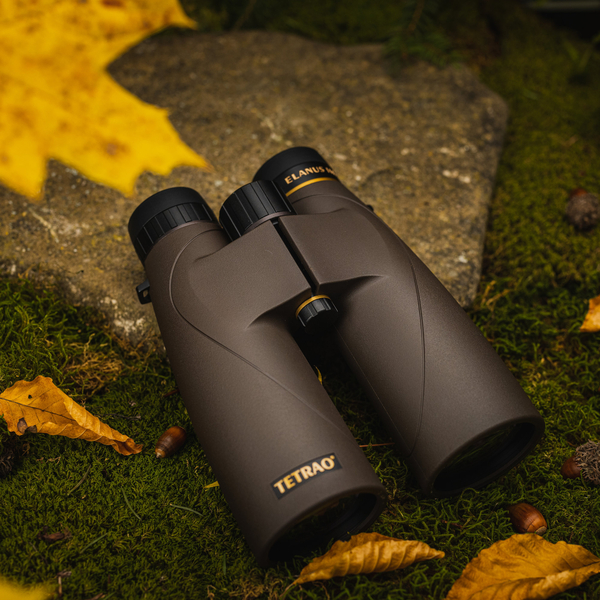 Binoclu TETRAO Elanus 8x56 HD 10